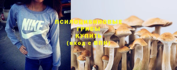 ешки Абдулино