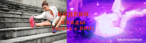 гидра Абаза