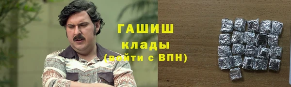 гидра Абаза