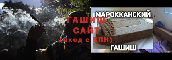 гидра Абаза