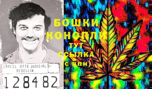 гидра Абаза