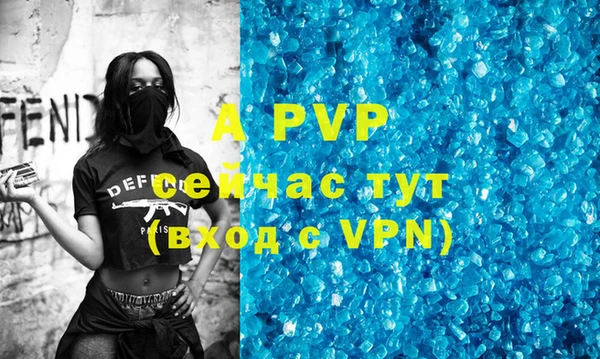 гидра Абаза