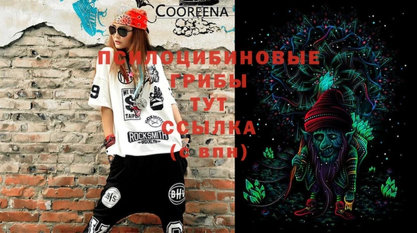 гидра Абаза