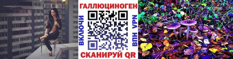 мега tor  Тбилисская  Псилоцибиновые грибы Psilocybe 